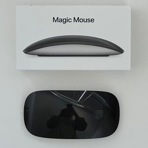 Apple Magic Mouse in Silver and Black